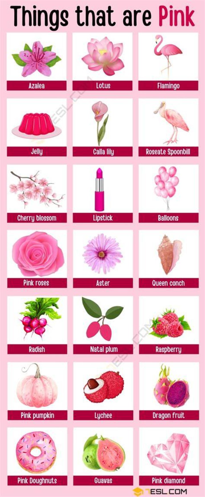 10 Things About Pink You Might Not Know