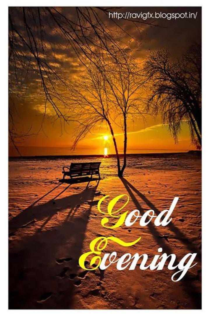 110 Good Evening SMS, Messages For Him/Her List Bark