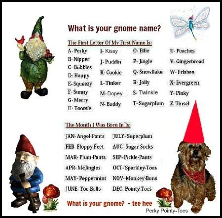200+ cool gnome names for your Dungeons and Dragons character Legit.ng