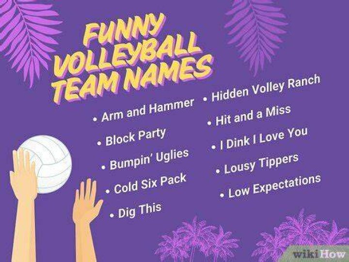 225+ Clever & Funny Volleyball Team Names Ripe Social