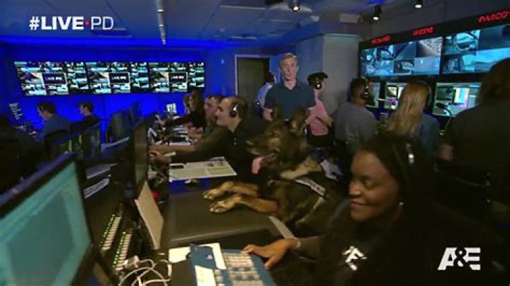 261 best Live PD images on Pinterest Cops, Family gatherings and