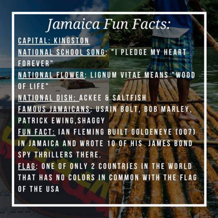 5 Facts Jamaica's DJ Kool Herc, the Father of HipHop