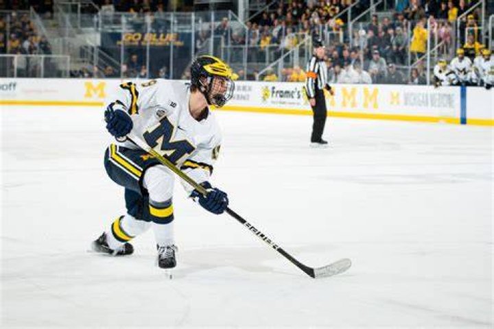 Adam Fantilli Emerging as Much More than a Consolation Prize