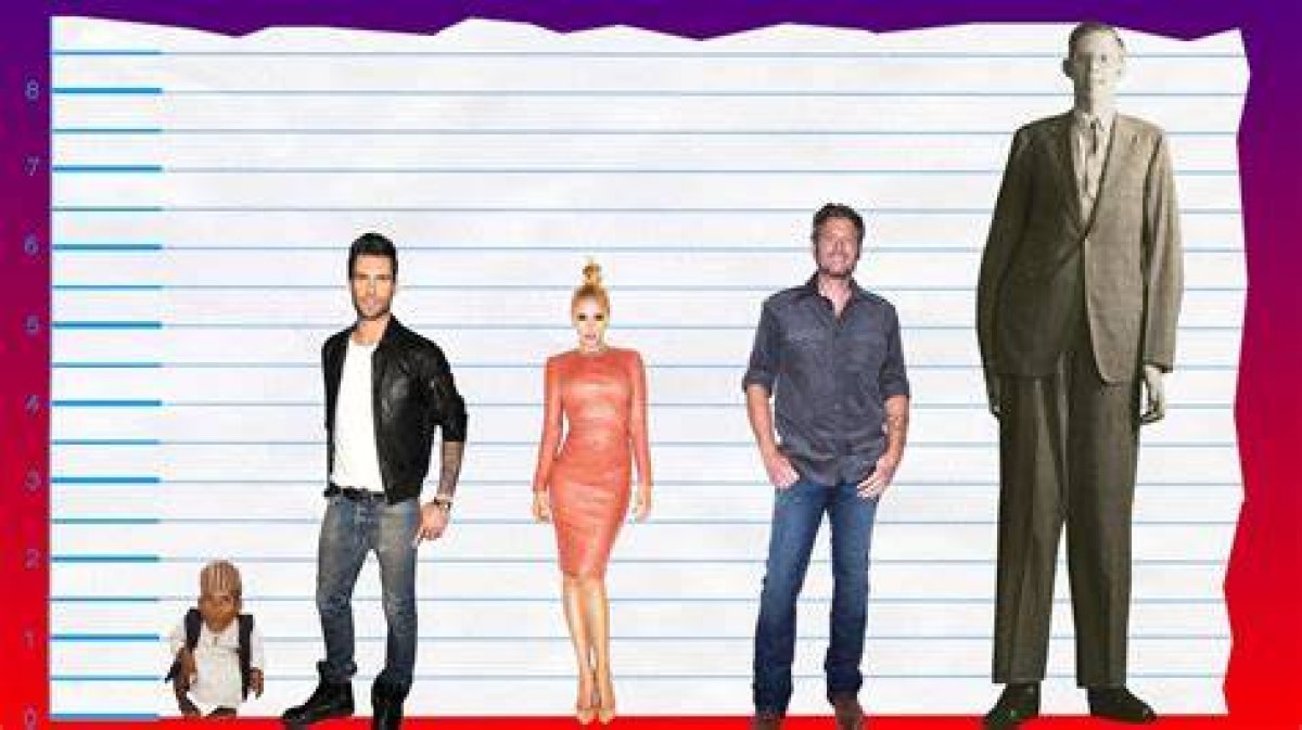 Adam Levine Height How Tall Is Adam Levine?