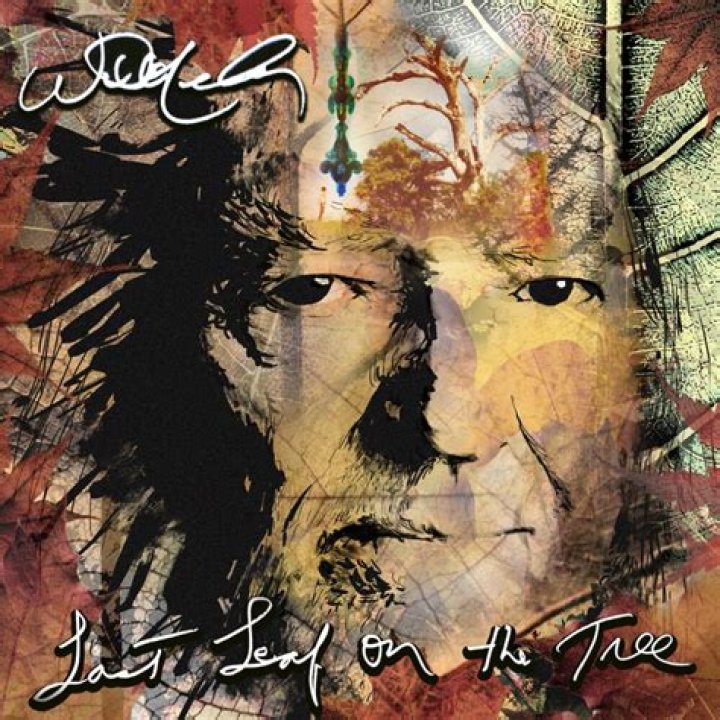 Album Of The Week Willie Nelson's Don't Know A Thing About Love