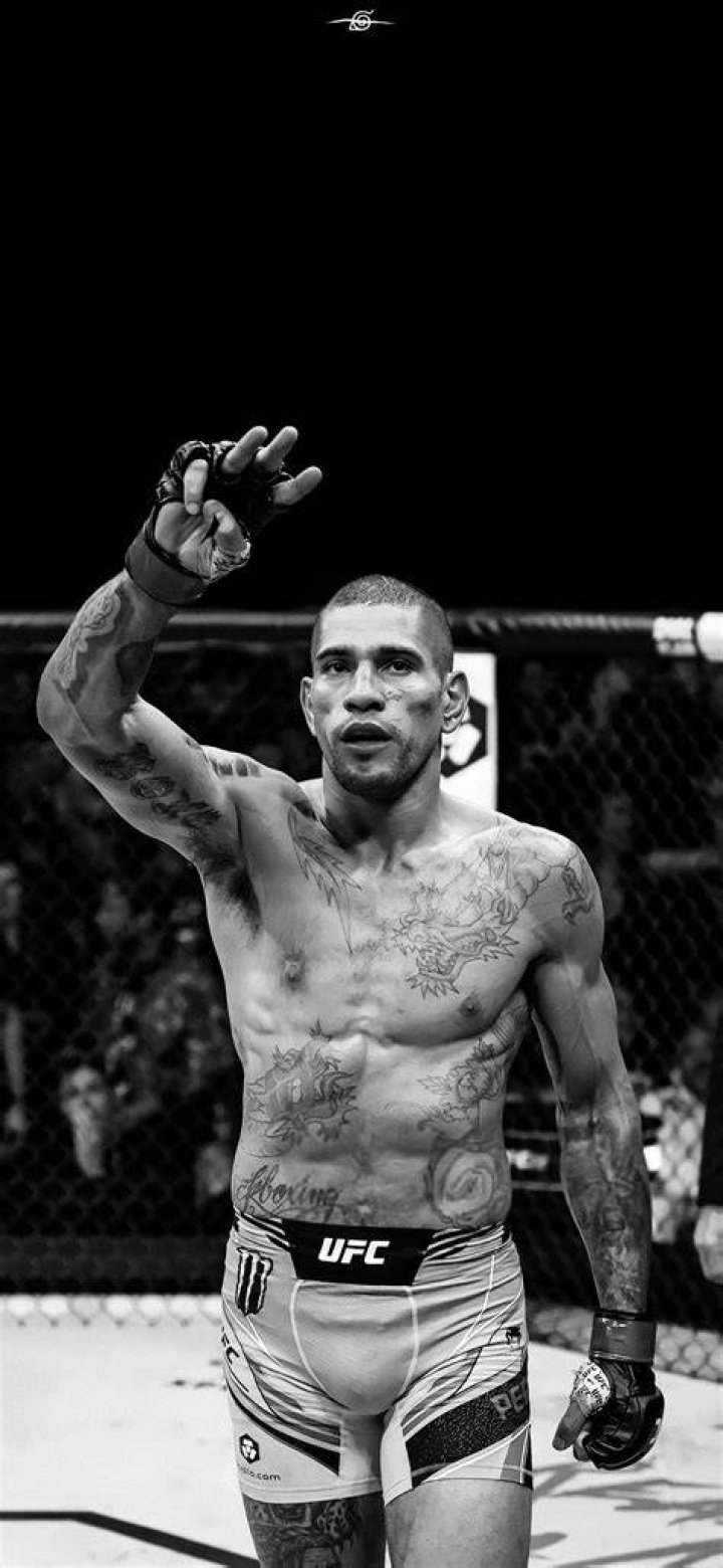 Alex Pereira Wallpapers Wallpaper Cave