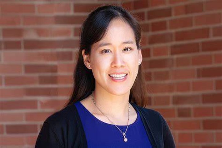 Alice Chen Cornerstone Research