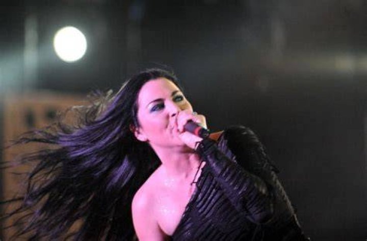 Amy Lee Net Worth • Net Worth List