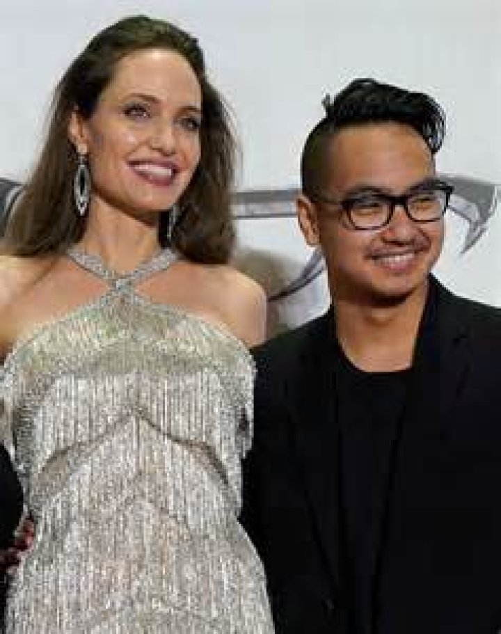Angelina Jolie Already Has a New Boyfriend, and He Looks Just Like Brad