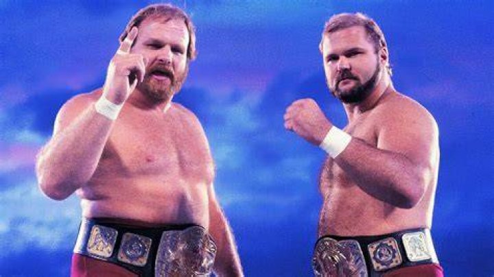 Arn Anderson & Ole Anderson's RealLife Relationship, Explained