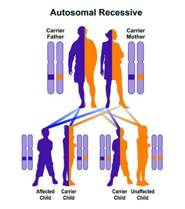 Autosomal recessive Hereditary Ocular Diseases
