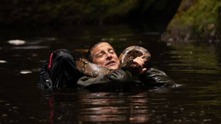 Bear Grylls recalls neardeath fight with eightfoot snake