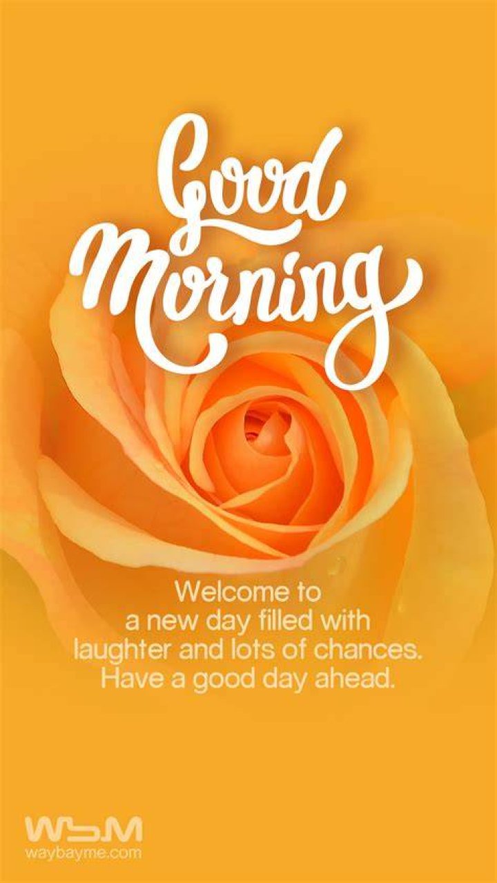 Best Good Morning Wishes, Pictures and Greetings to Share Everyone