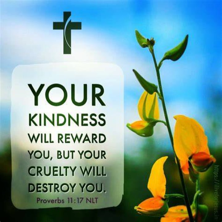 Bible verse about kindness tyredjohn