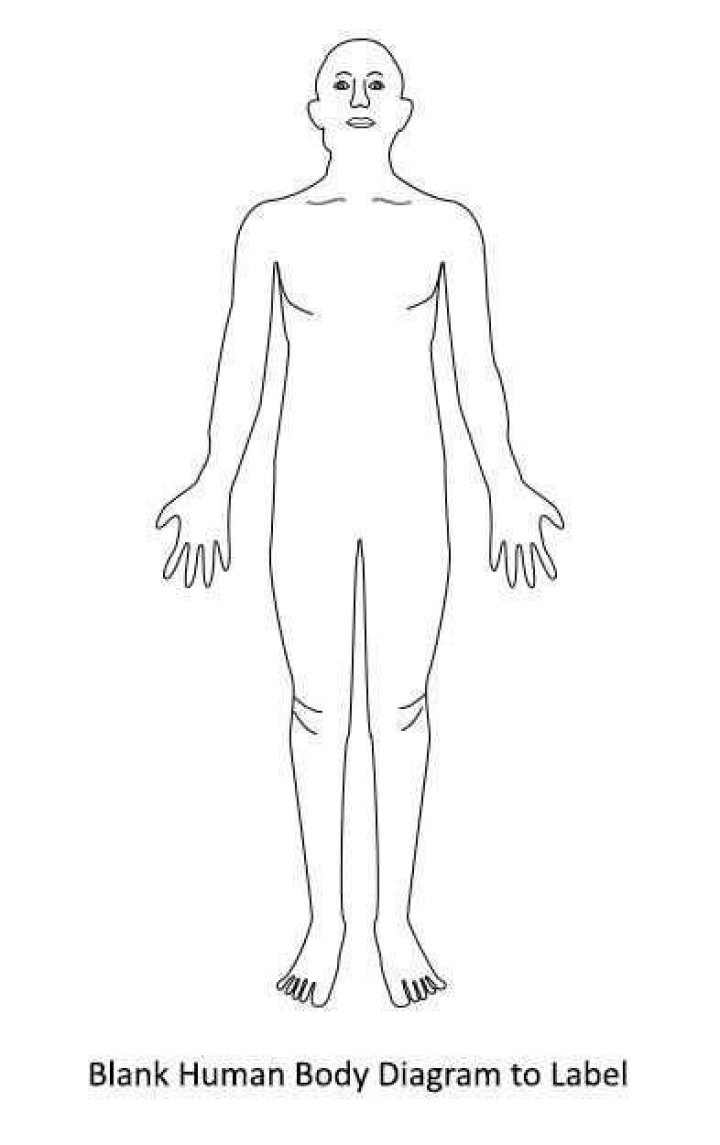 Blank Autopsy Diagram