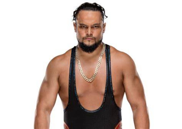 Bo Dallas WWE Wiki Fandom