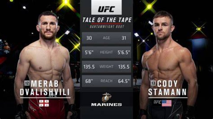 Cody Stamann UFC