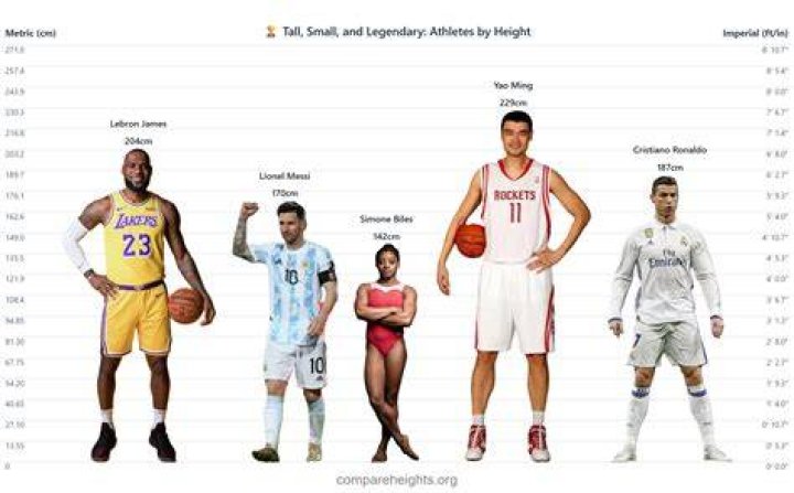 Comparing Heights