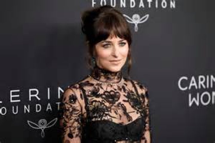 Dakota Johnson Dons SemiSheer Top for Dinner With Sister Stella