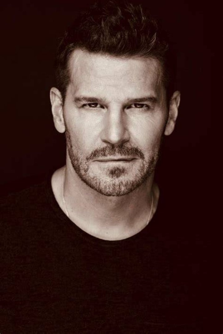 David Boreanaz Talks Working with Neil LaBute for 'Full Circle' Photo