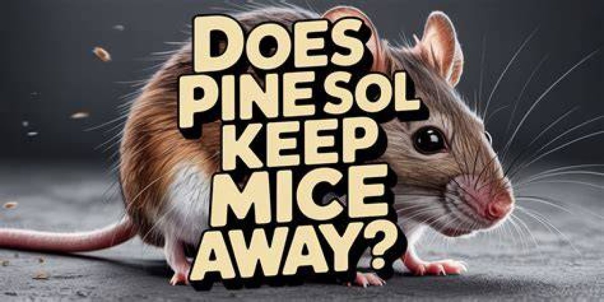 Does Pine-Sol Really Repel Mice? Unraveling the Truth