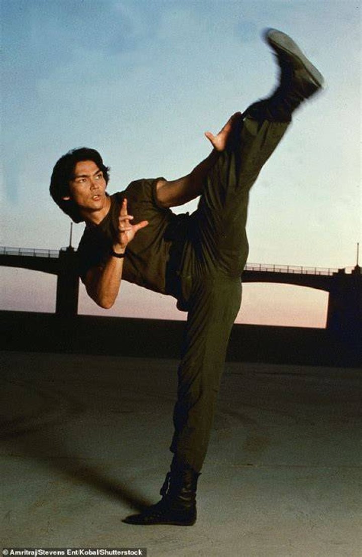 don the dragon wilson Martial arts movies, Martial arts, Movie stars