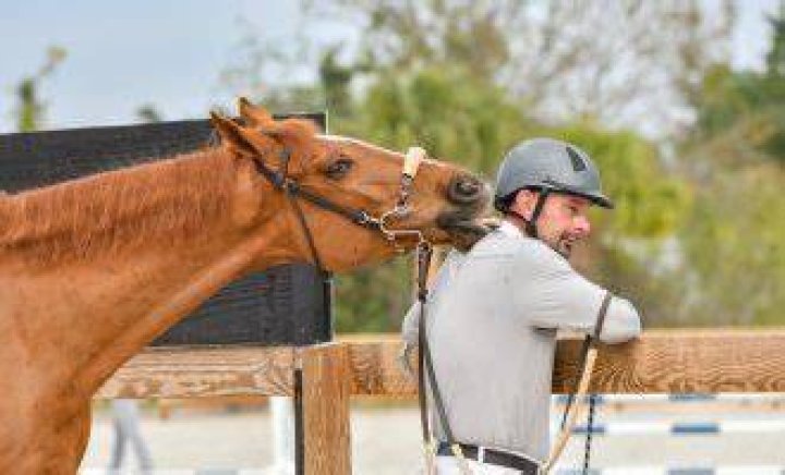 Equestrian Craig Starr Accident Linked To Death TG Time