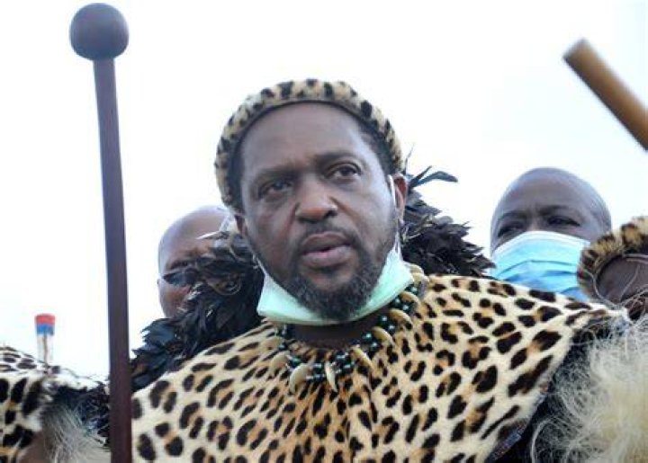 EXPLAINER King Misuzulu and Prince Simakade Who is the king of the