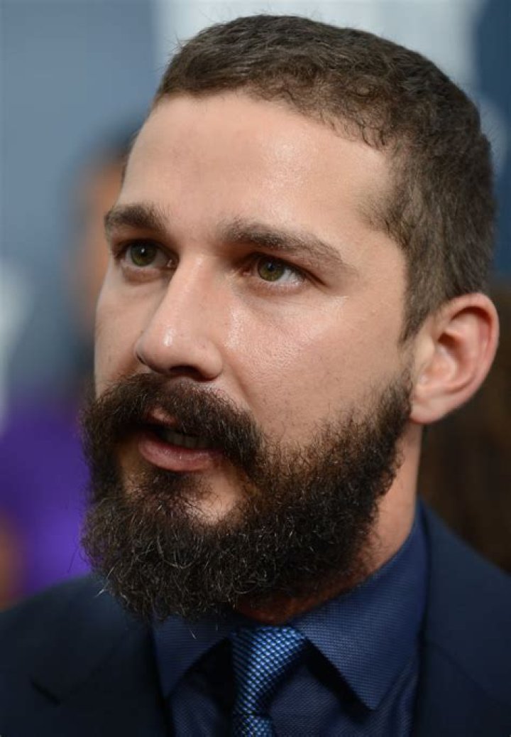 Failed Actor or Salient Artist? An Ode to Shia Labeouf The Daily Utah
