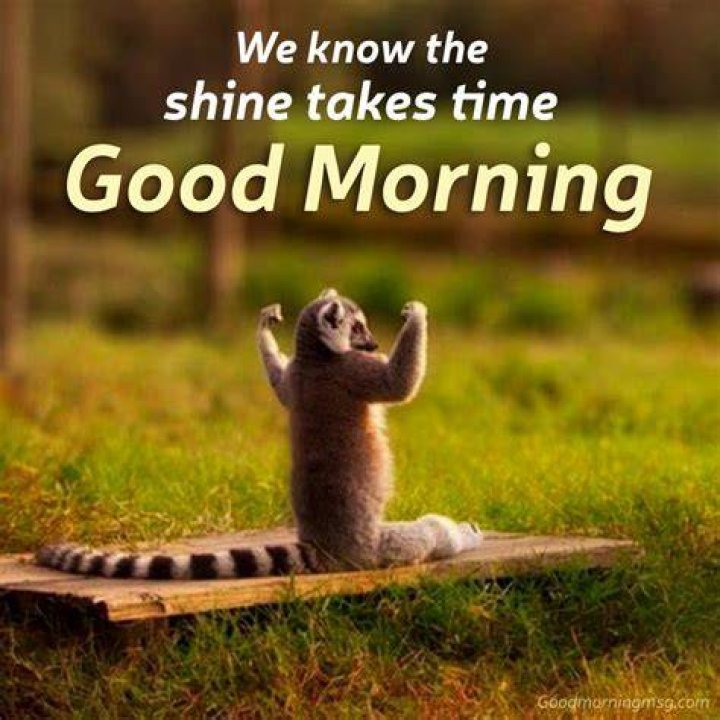 Good Morning Memes For Him Good Morning Meme Good Morning Handsome Unamed
