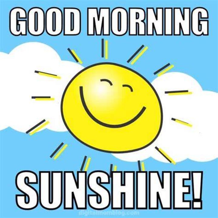 Good morning sunshine meme for him and her Funny Memes For Him, Funny