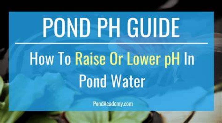 Guide to Pond pH Levels Premier Ponds