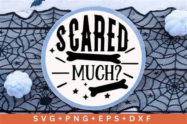 How Much Is The Scared Straight Program