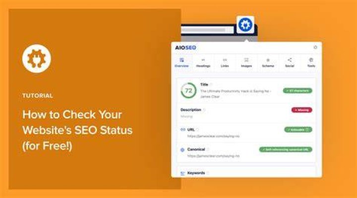 How to Check Your Website’s Keyword Ranking on Google Nuoptima