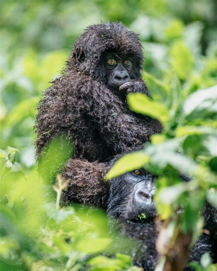 INFLUENTIALS &mdash; Project Wonderlust Wildlife & Portrait Photography by