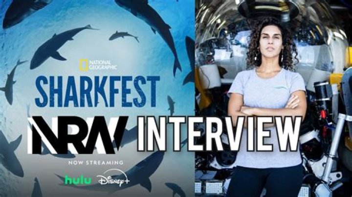 INTERVIEW Sharkfest experts remember when they first fell in love with