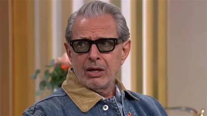 Jeff Goldblum Reveals Why He'd Never Get Plastic Surgery Photo 3991125