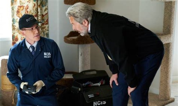 Jimmy Palmer, the star of NCIS, admits that Breanna&rsquo;s offscreen d3ath