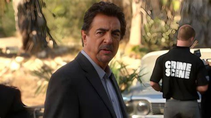 Joe Mantegna reflects on Criminal Minds and its new series as we see it