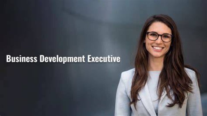 Lance Levitas Business Development Executive ES LinkedIn
