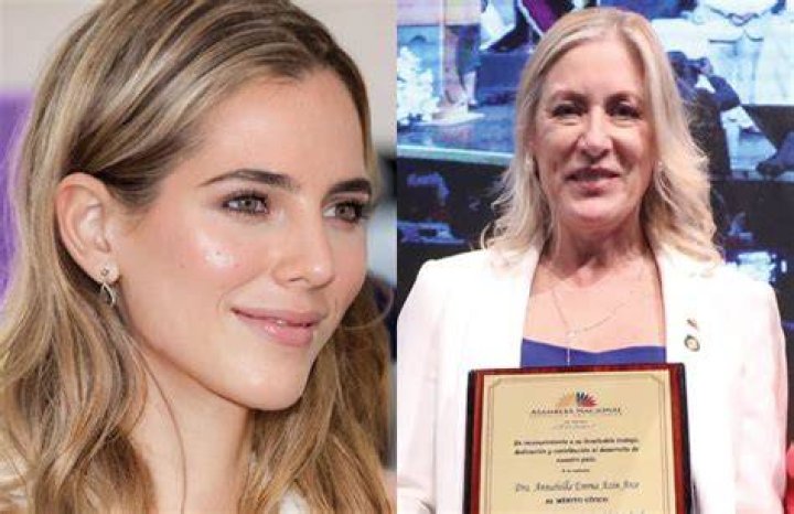 Lavinia Valbonesi &iquest;cu&aacute;les son las brigadas m&eacute;dicas en las que