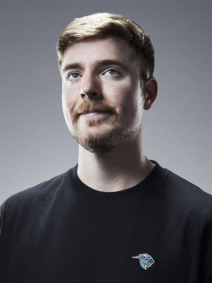 MrBeast Wikipedia