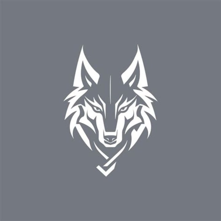 MWD Portfolio — My Wolf Design Inc. Award Winning Branding & Website