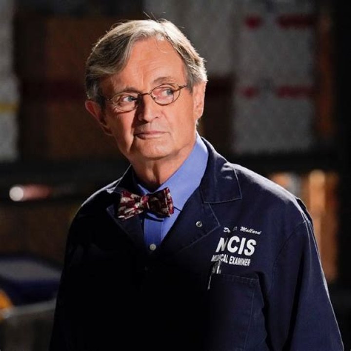 NCIS What Is David McCallum's Final Episode As Ducky?