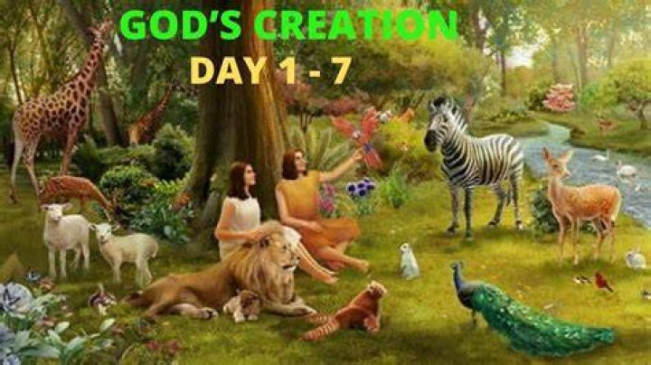 New Creation Creation Day