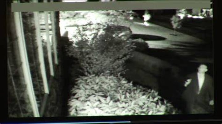 Odin Lloyd Crime Scene Photos