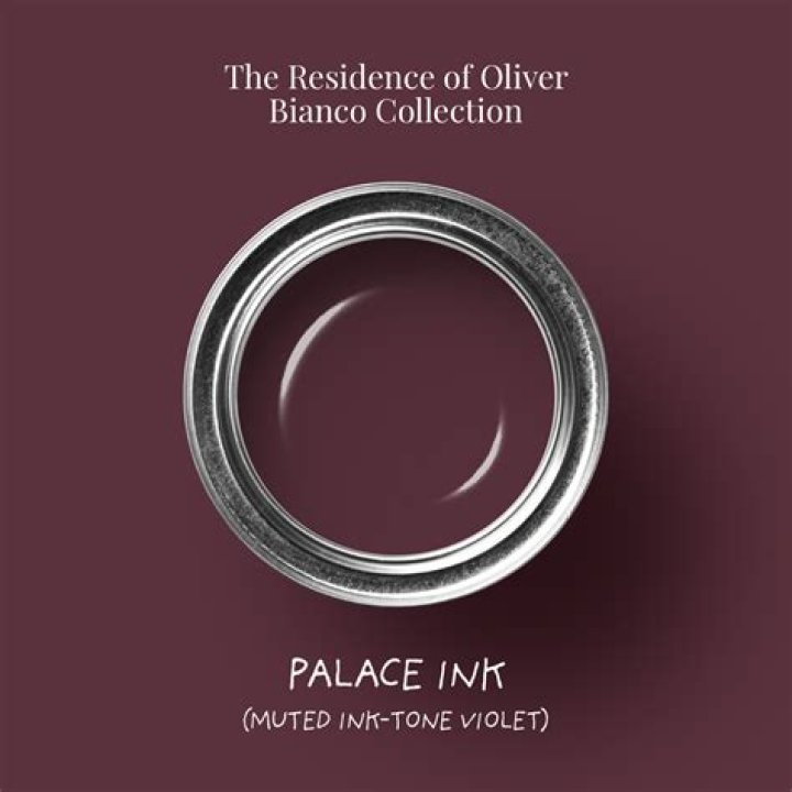 Palace Ink muted inktone violet handmade Tonester paint color