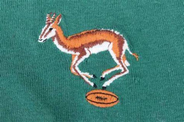 Pin on Springbokke