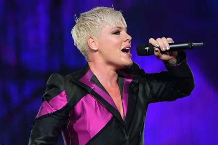 Pop Star Pink Is Making Wine in Santa Barbara as Two Wolves Eater SF