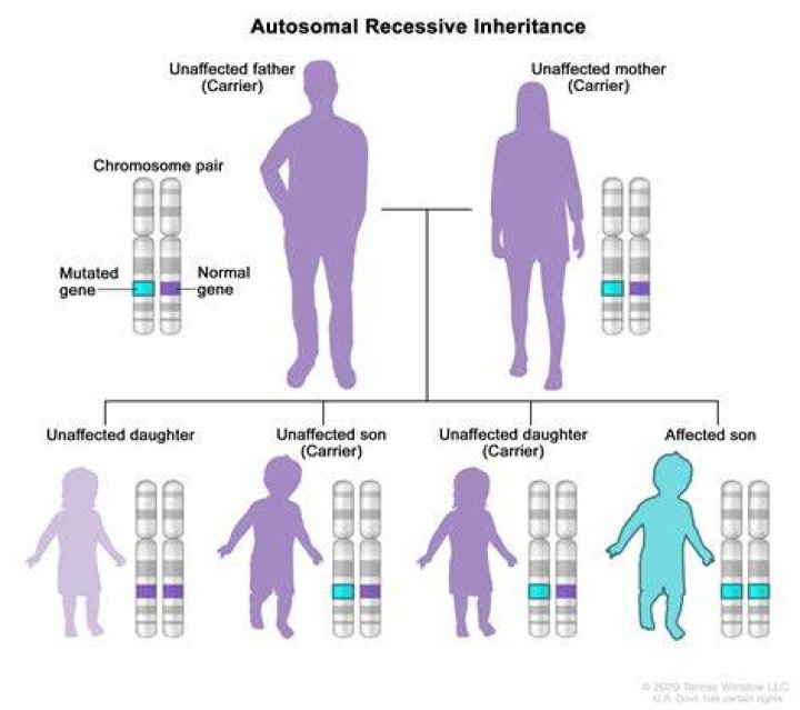 Recessive Definition